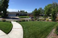 landscape contractors, Solid Ground, 