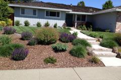 landscape contractors, Solid Ground, 
