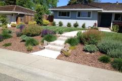 landscape contractors, Solid Ground, 