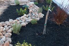 landscape contractors, Solid Ground, 
